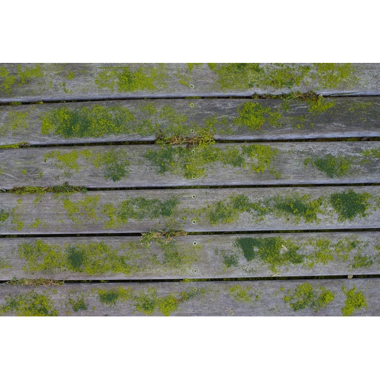 Щетка для дерева RYOBI RAC820
