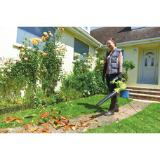 Воздуходувка-пылесос электрическая RYOBI RBV3000CSV