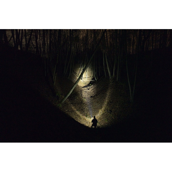 Фонарь Armytek Bear WRG