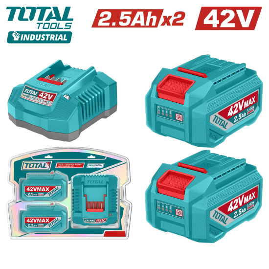 Аккумулятор (2) с зарядным устройством TOTAL TFBCPM25221 Аккумулятор (2) с зарядным устройством TOTAL TFBCPM25221