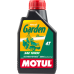 Масло для 4-х тактных двигателей MOTUL GARDEN 4T SAE 10W30 (1 л) Масло для 4-х тактных двигателей MOTUL GARDEN 4T SAE 10W30 (1 л)