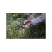 Секатор садовый профессиональный FISKARS Секатор садовый профессиональный FISKARS