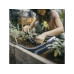 Культиватор садовый Solid FISKARS(1072102/1001600) Культиватор садовый Solid FISKARS(1072102/1001600)