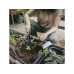 Культиватор садовый Solid FISKARS(1072102/1001600) Культиватор садовый Solid FISKARS(1072102/1001600)