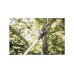 Сучкорез универсальный UPX82 FISKARS PowerGear Сучкорез универсальный UPX82 FISKARS PowerGear