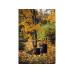 Грабли Solid для листьев XL FISKARS Грабли Solid для листьев XL FISKARS