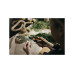 Секатор плоскостной FISKARS Plus Smartfit P541 Секатор плоскостной FISKARS Plus Smartfit P541