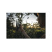 Секатор плоскостной FISKARS Plus PowerLever P721 Секатор плоскостной FISKARS Plus PowerLever P721