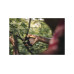 Секатор плоскостной FISKARS Plus PowerLever P721 Секатор плоскостной FISKARS Plus PowerLever P721