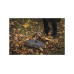 Грабли для листьев M Solid FISKARS Грабли для листьев M Solid FISKARS