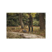 Грабли для листьев M Solid FISKARS Грабли для листьев M Solid FISKARS