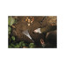 Грабли Xact FISKARS Грабли Xact FISKARS