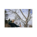 Сучкорез плоскостной LX94 FISKARS PowerGear X средний Сучкорез плоскостной LX94 FISKARS PowerGear X средний