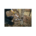 Сучкорез плоскостной LX94 FISKARS PowerGear X средний Сучкорез плоскостной LX94 FISKARS PowerGear X средний