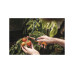 Нож садовый складной K80 X-series FISKARS