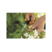 Ножницы для цветов SP15 Solid FISKARS Ножницы для цветов SP15 Solid FISKARS