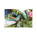 Ножницы для цветов SP15 Solid FISKARS Ножницы для цветов SP15 Solid FISKARS
