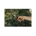 Секатор контактный FISKARS Xseries PowerGear L P941 Секатор контактный FISKARS Xseries PowerGear L P941