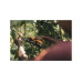 Секатор контактный FISKARS Plus PowerLevel P741 Секатор контактный FISKARS Plus PowerLevel P741
