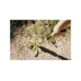 Корнеудалитель 396х43 мм Xact FISKARS