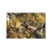 Секатор плоскостной FISKARS Xseries PowerGear L P961 Секатор плоскостной FISKARS Xseries PowerGear L P961