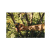 Секатор плоскостной FISKARS Xseries PowerGear L P961 Секатор плоскостной FISKARS Xseries PowerGear L P961
