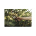 Секатор плоскостной FISKARS Xseries PowerGear M P921 Секатор плоскостной FISKARS Xseries PowerGear M P921