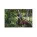 Секатор плоскостной FISKARS Solid P121