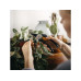Секатор плоскостной FISKARS Solid P121