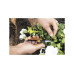 Ножницы для цветов SP13 FISKARS